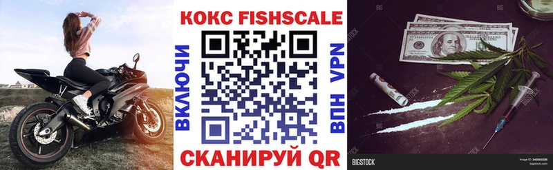 ссылка на мегу зеркало  Чита  Кокаин Fish Scale 