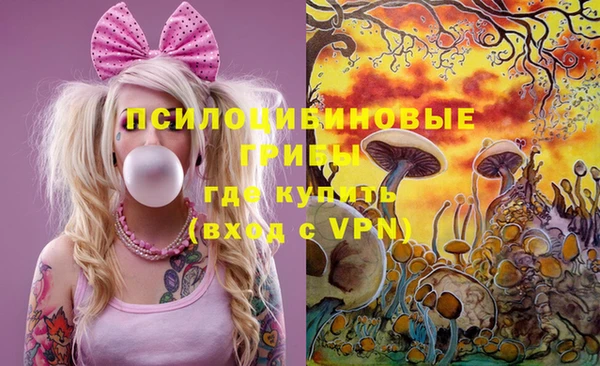 apvp Бердск