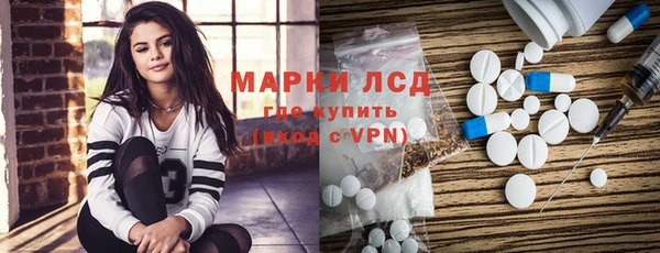 apvp Бердск