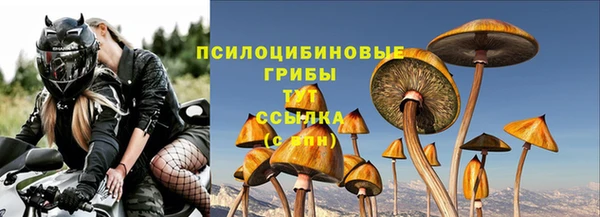 бошки Абаза