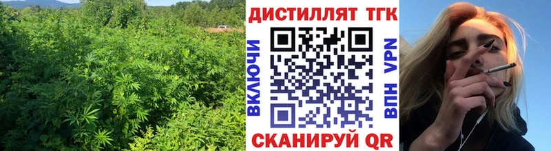 мега зеркало  Чита  ТГК гашишное масло  купить  цена 